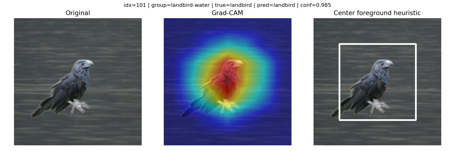 Conflict success: landbird placed on water but still classified correctly.