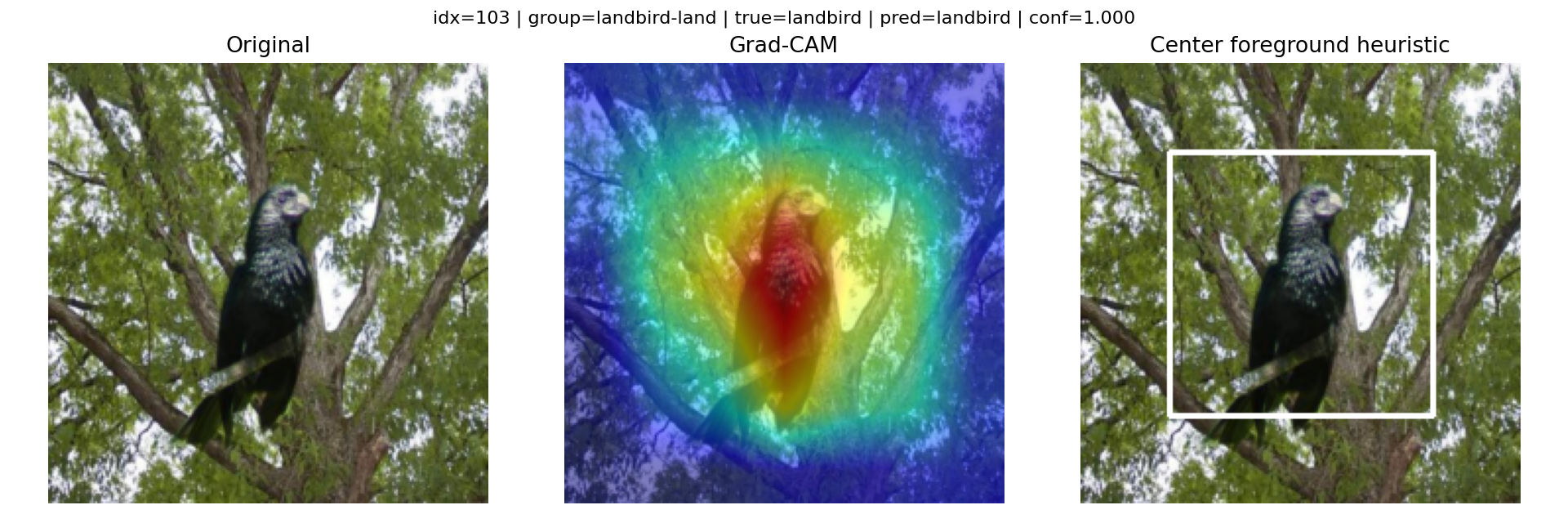 Landbird on land — accurate prediction.