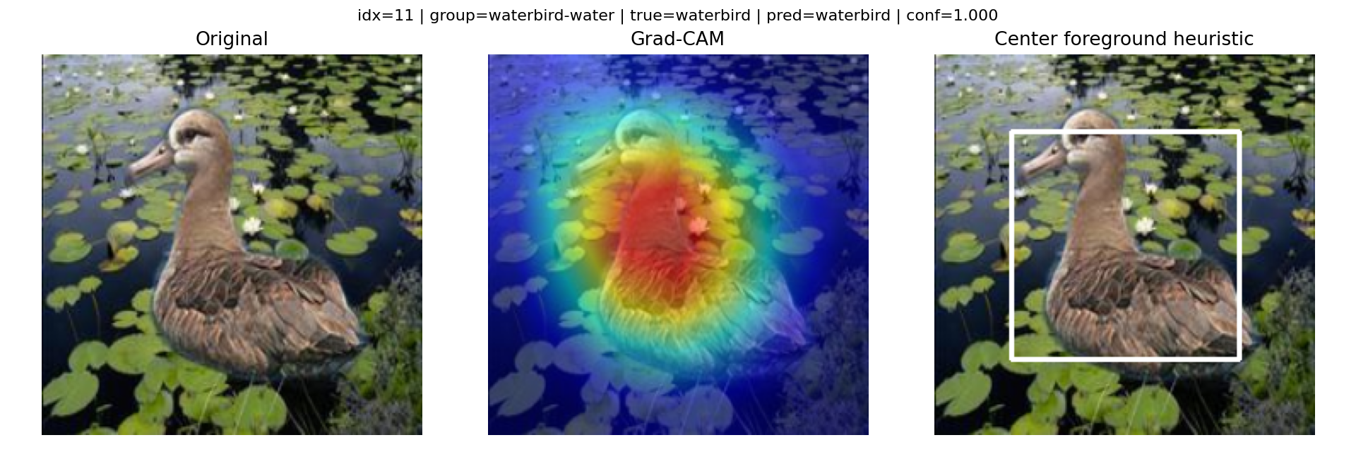 Majority case — model is confident and attention spans bird + water.